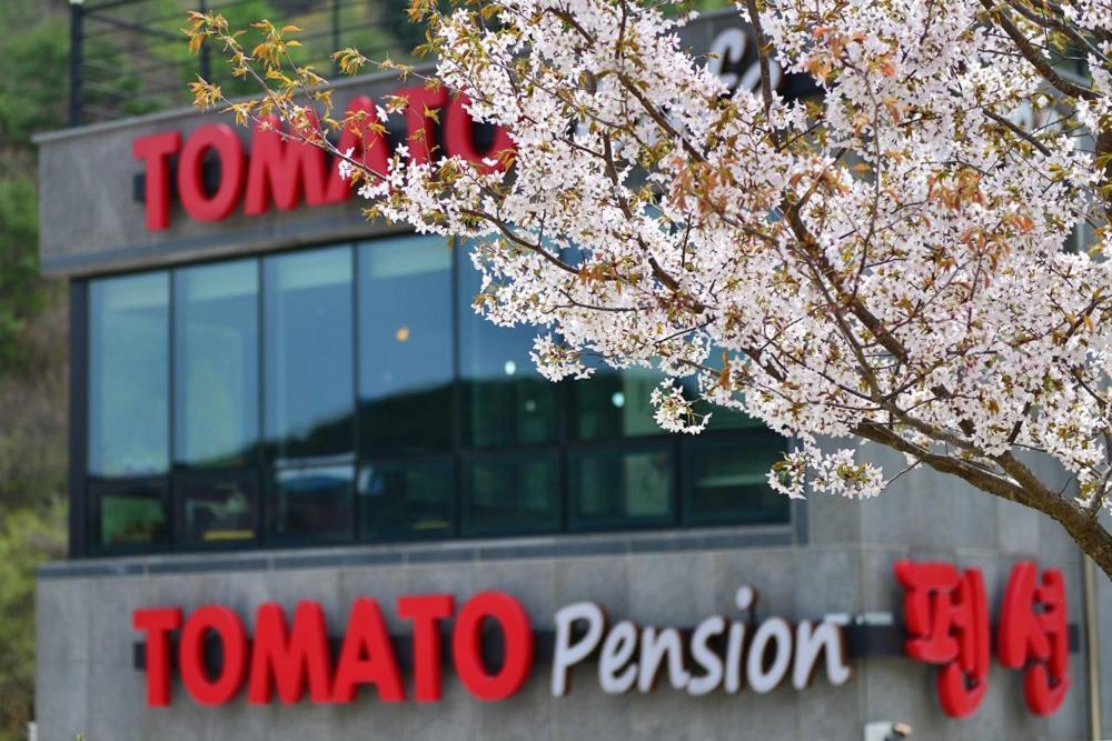 Hwacheon Tomato Pension المظهر الخارجي الصورة